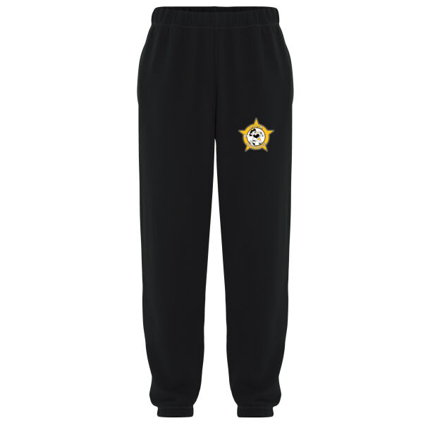 EVERYDAY FLEECE SWEATPANTS  *EMBROIDERED* Thumbnail